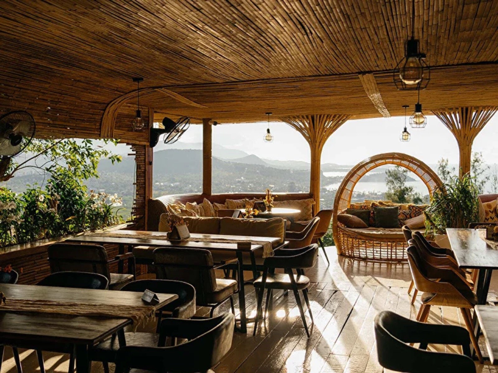 Cocoon Viewpoint